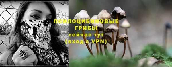 ALPHA-PVP Верхний Тагил